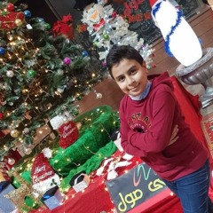 Ammar Mohamed