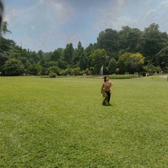 Nothing Gonna Change My Love For You // leeanaj cover