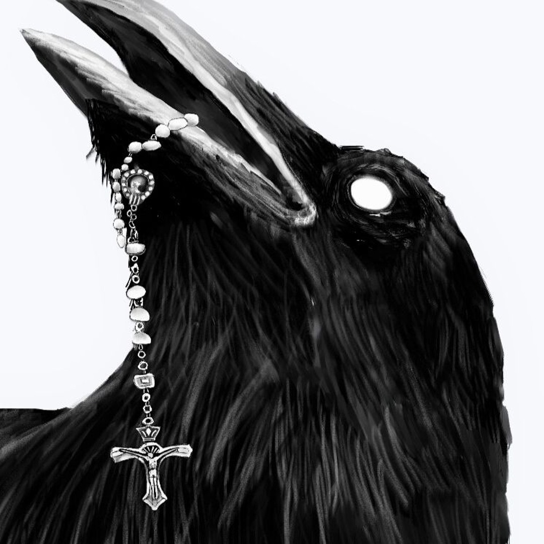 REC4LL’s avatar