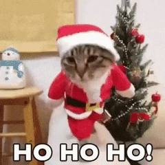 merry catmess!