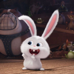 Nguyễn Đức Duy 🐰