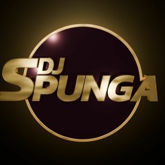 DJ Spunga