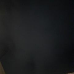 daniyal