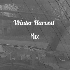 Winter Harvest Mix