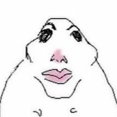 𝒄𝒉𝒊𝒑🐣