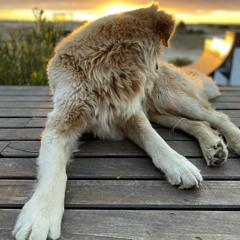 alejochacras