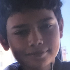 ™️