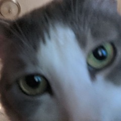 Atlantakindaandstuffiguess.678