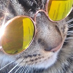 SCNDZR aka The SCANDALIZER