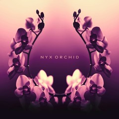 Nyx Orchid