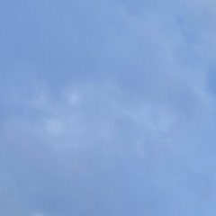 Valeriya Zinchenko 1