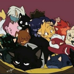 ❤️Mha kittens❤️