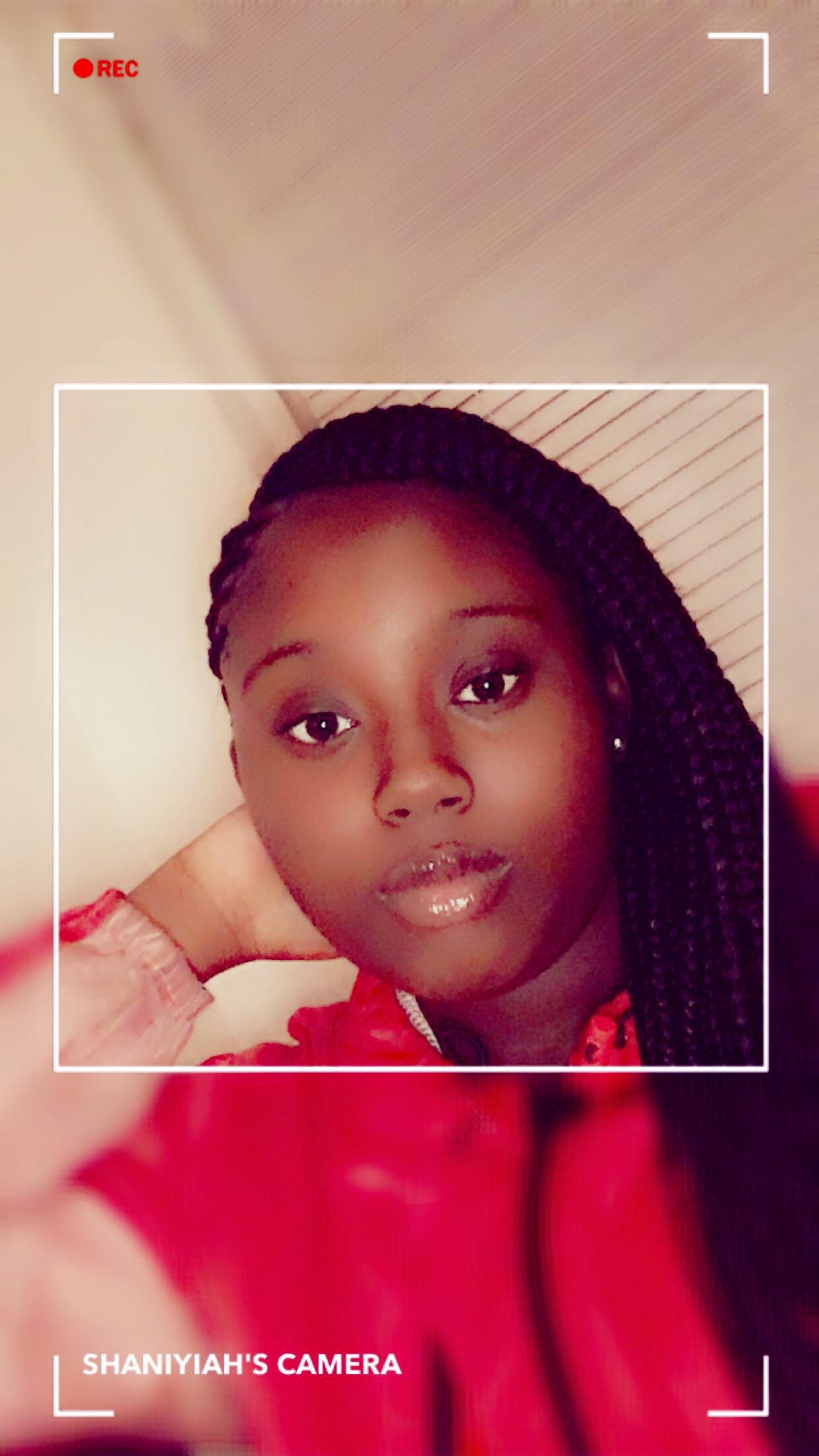 Shaniyiah's Walker