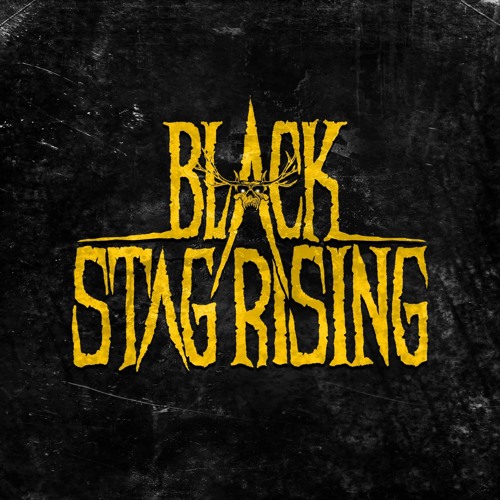 Black Stag Rising (now on Spotify)’s avatar