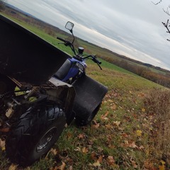 ZWEETACKTER 🇩🇪🦅