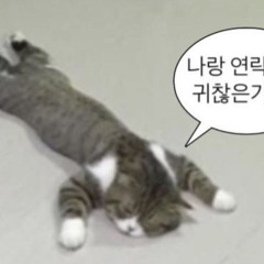 체현서그는감히평범하다