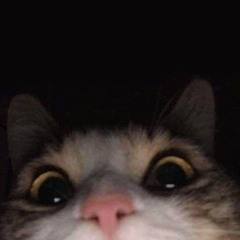 _