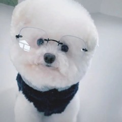 cutemachine