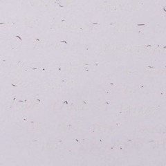 milfenouille