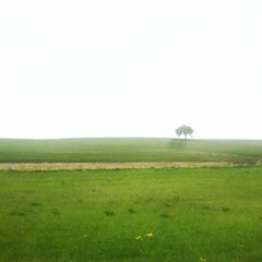 Some Day Some Way Some How