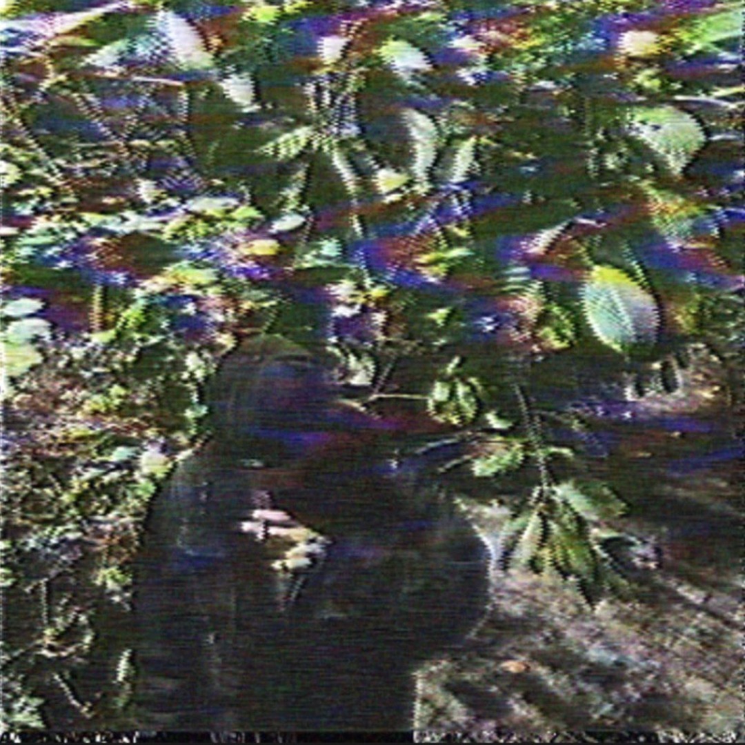 Stream TEARDROP music | Listen to songs, albums, playlists for