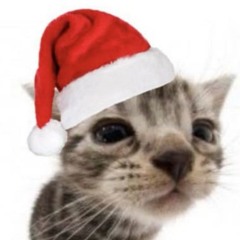 Lily (⁠ ⁠◜⁠‿⁠◝⁠ ⁠)⁠♡ !