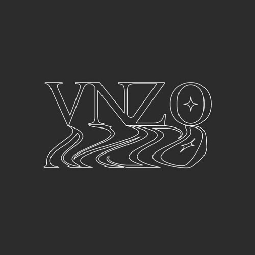 VNZO’s avatar