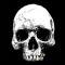 Bas Mooy | Mord Records