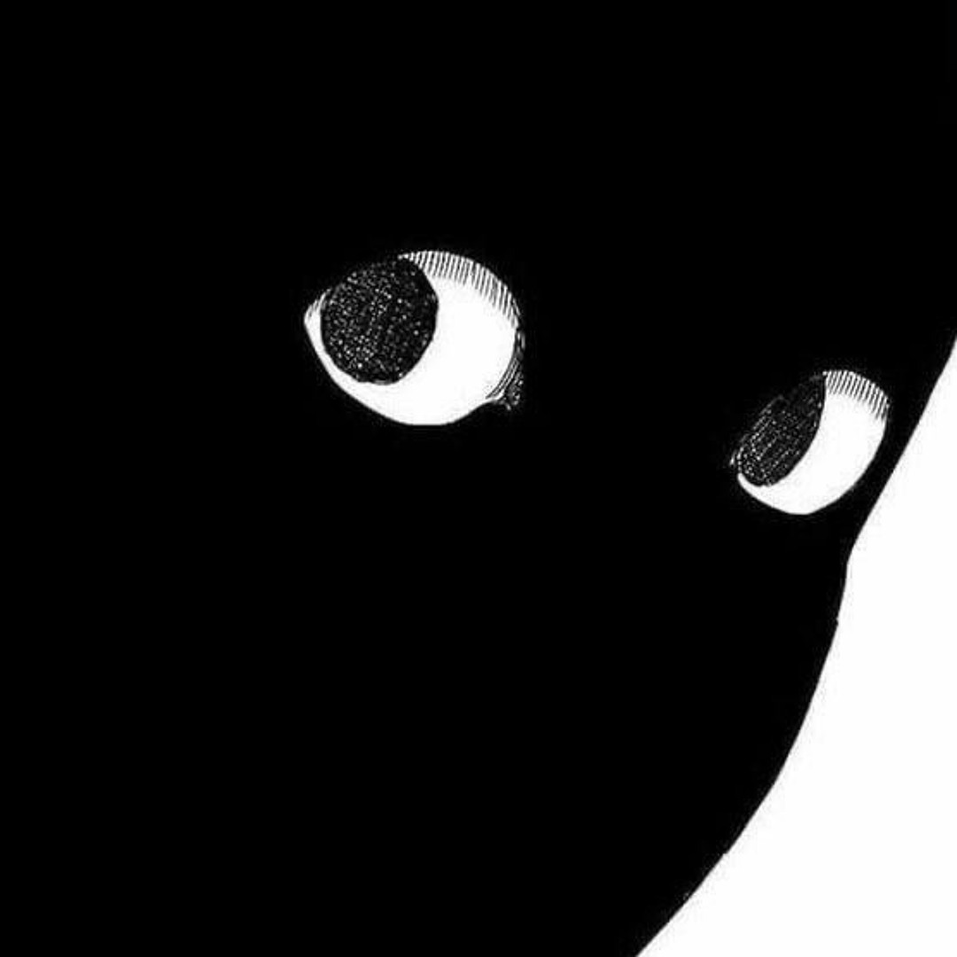 vdmkotix’s avatar