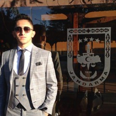 Erdem Sevdi