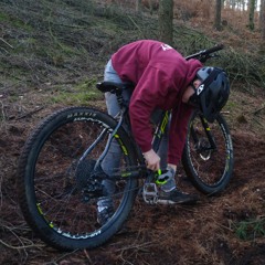 seb_grove