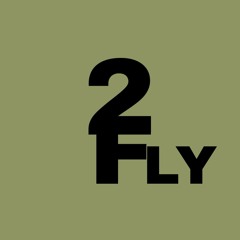 Ty2Fly
