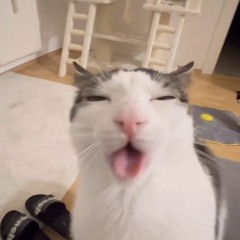 eueueueue