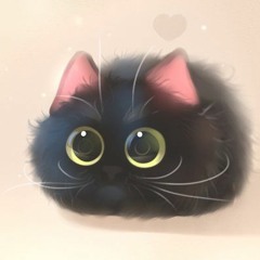 Midnight Kitty
