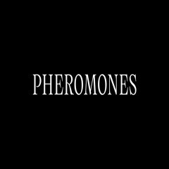 pheromones