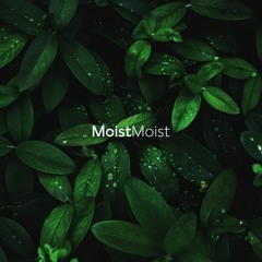 MoistMoist