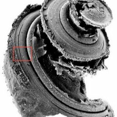 Playing with Perception