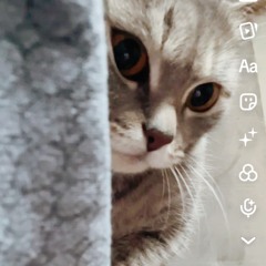 keeep it goin + arctic #REMAKE