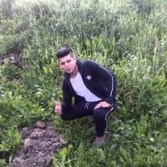 طارق ابو سعودي
