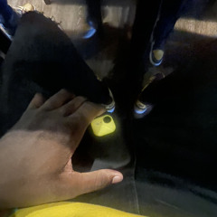 qseii