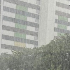 イメ