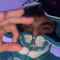 Foa