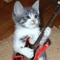 angelluvscats