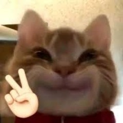 Điểu Thị Thanh Mai