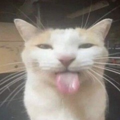 Vincent