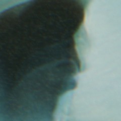 PHENIX