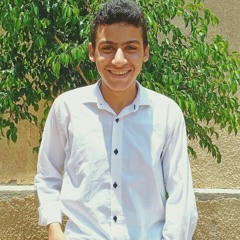 Mohamed Mossad Mohamed