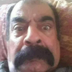 الذيب