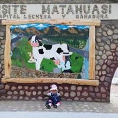 Liz Noemi Pariona Sotacuro