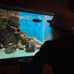 ˙˚ 𓆩 𝘠𝘷𝘯𝘨 𝘍𝘭𝘦𝘹 𓆪 ˚˙